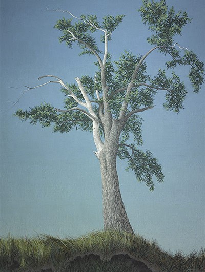 AGO.35554-600.jpg
