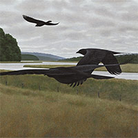Seven Crows